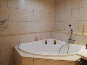Ένα μπάνιο στο Apartman Family +48 φωτογραφίες