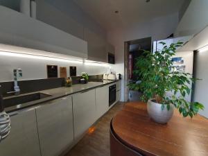 a kitchen with a potted plant on a wooden table at ZARA in Menton