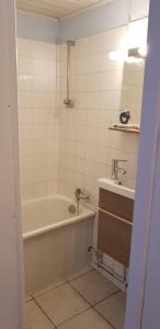 a bathroom with a bath tub and a sink at Cottage du lac de Chaumeçon avec étang privé in Brassy