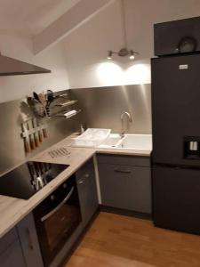 uma cozinha com um frigorífico preto e um lavatório em Cottage du lac de Chaumeçon avec étang privé em Brassy
