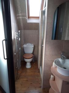 a small bathroom with a toilet and a sink at Rose Cottage studio in Sheffield