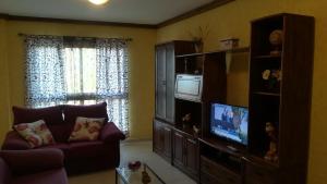 sala de estar con sofá y TV en APARTAMENTO VISTAS DE ICOD, en Icod de los Vinos