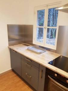 Η κουζίνα ή μικρή κουζίνα στο Cottage du lac de Chaumeçon avec étang privé +13 φωτογραφίες