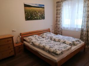 a bedroom with a bed and a window at Apartmán G4 Maty in Frymburk