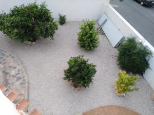 Zdjęcie z galerii obiektu VILLA DOS-LAGOS w mieście Torrevieja