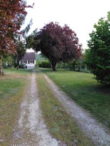 un camino de tierra que conduce a un campo con una casa en Villa poupa, en Châtillon-sur-Cher