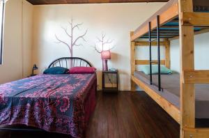 Gallery image of In the Wind Hostel and Guesthouse in San José