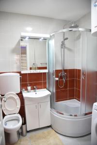 Bagno di Apartmani Sofronic Loznica 2
