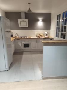 cocina con armarios blancos y nevera blanca en Villa poupa, en Châtillon-sur-Cher