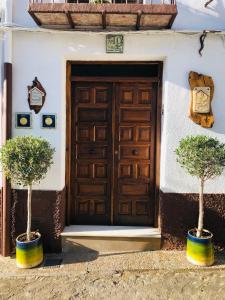 ウベダにあるLa Casa del Alfarero - Premio Andalucia de Artesaniaの鉢植えの木2本