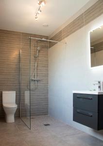 a bathroom with a shower and a toilet and a sink at Bramble Cottage in Rathfriland