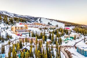 an aerial view of a ski resort in the snow at DuHaus Green in Big White