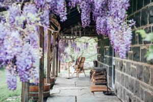a garden with purple wisterias hanging from a building at Ellerslie Cottage in Metcalfe