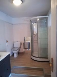 La salle de bains est pourvue d'une douche et de toilettes. dans l'établissement GUEST HOUSE groupe et Famille, à Saint-Paimboeuf