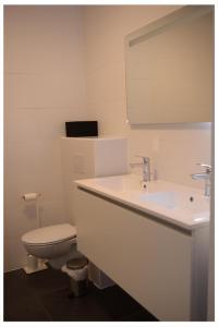 La salle de bains blanche est pourvue de toilettes et d'un lavabo. dans l'établissement ‘t Ziltebos, à Wenduine