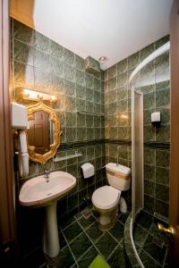 Koupelna v ubytování Hotel Darosy