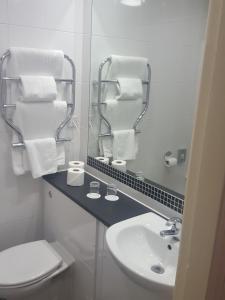 a bathroom with a sink and a toilet and a mirror at Keswick Country House Hotel in Keswick
