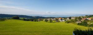 a green field with a town in the distance at Park in Heiden