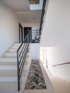 Fotografie z fotogalerie ubytování Apartments Zaton v destinaci Zaton
