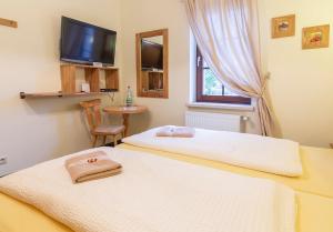 two beds in a room with a tv on the wall at Landpension Minna in Herbsleben