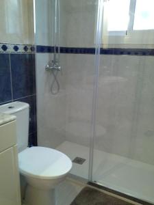 a bathroom with a white toilet and a shower at Apartment 241 in Gran Alacant