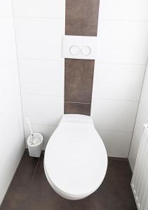 a bathroom with a white toilet in a room at Landpension Minna in Herbsleben