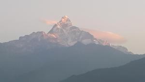 Pemandangan gunung umum atau pemandangan gunung yang diambil dari hotel