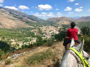 コルテにあるL'Albaduの町を見下ろす丘の上に乗馬する女