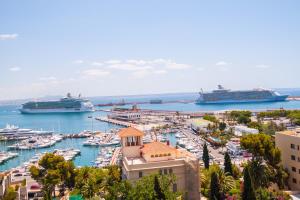 a large body of water with a cruise ship in the distance at Hotel Amic Horizonte in Palma de Mallorca