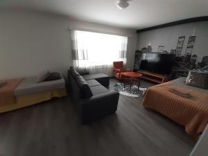 ein Wohnzimmer mit einem Sofa, einem Bett und einem TV in der Unterkunft Gasthaus Patruuna in Joutseno