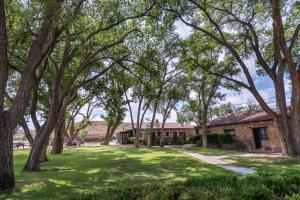 a yard with trees and a building at Thunderbird Lodge in Chinle