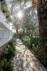um caminho com árvores e o sol no fundo em Beach Boy & Pool Girl Apartments em Vir