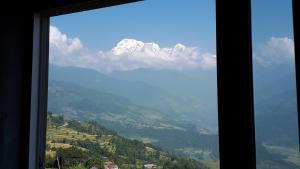 Pemandangan gunung umum atau pemandangan gunung yang diambil dari hotel