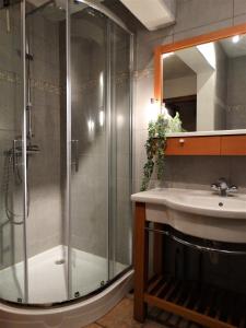 a bathroom with a shower and a sink at Studio Eveux in La-Roche-en-Ardenne