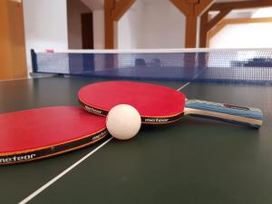 Stolný tenis v ubytovaní Willa Beskid alebo v jeho okolí