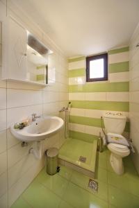 a green and white bathroom with a sink and a toilet at Sfakia Thea Apartments in Sfakia
