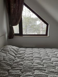 Bett in einem Zimmer mit Fenster in der Unterkunft Apartman zlatibor in Zlatibor