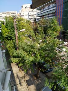 a group of trees on a balcony in a city at Fenia's Apartment in Thessaloniki