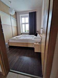a bedroom with a large bed and a window at Falcon apartment in Trnava