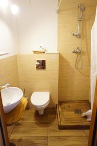 a bathroom with a toilet and a sink and a shower at Mazurska Zagroda in Rydzewo