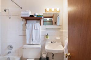 a bathroom with a toilet and a sink and a mirror at Foothills Lodge and Cabins in South Fork