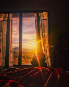 a person sitting in a bed looking out a window at White Monkey Dias Rest in Haputale