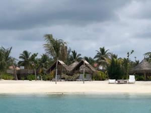einen Strand mit Liegestühlen, Sonnenschirmen und Palmen in der Unterkunft Old Town Inn Maldives in Gaafaru