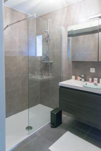 een badkamer met een douche en een wastafel bij De Lievensmolen in Damme
