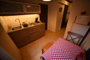 科爾馬的住宿－Gite Bim Maidala，厨房享有高空的景致,配有水槽和冰箱。