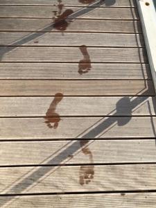 Fotografie z fotogalerie ubytování Hausboot Elandi v destinaci Bitterfeld