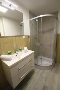 ein Bad mit einer Dusche, einem Waschbecken und einem Spiegel in der Unterkunft Hotel Gasthof Markterwirt in Altenmarkt im Pongau
