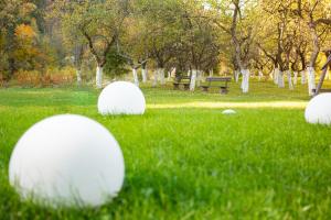 a group of balls in the grass in a park at Villa Billa in Tatariv