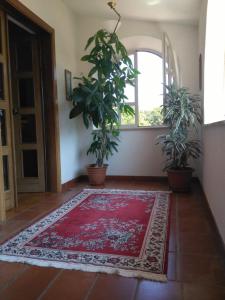 Fotografie z fotogalerie ubytování B&B Villa Le Palme Scalea v destinaci Scalea