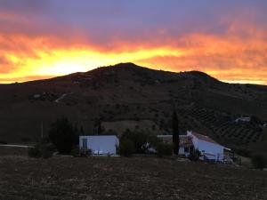 Fotografia z galérie ubytovania Finca Las Campanas II v destinácii Villanueva de la Concepción